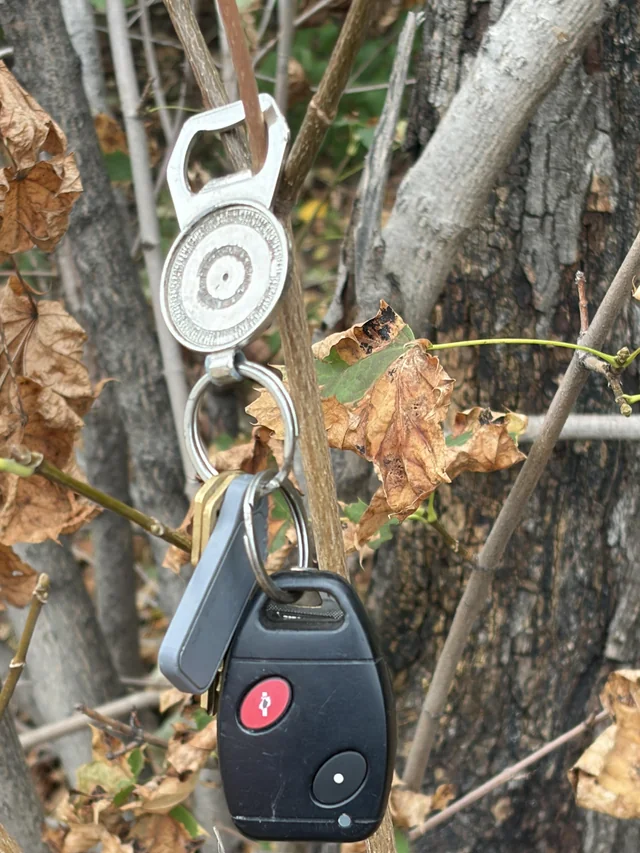 Found keys