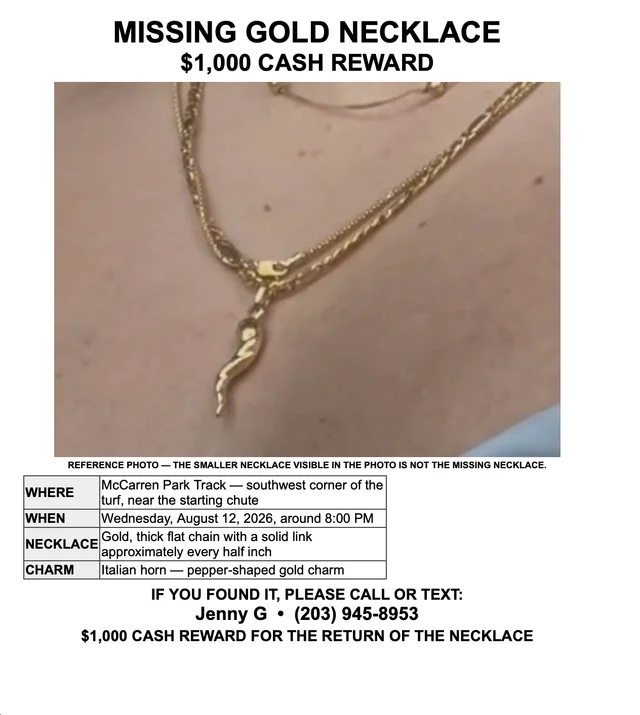 Lost Necklace in Brooklyn