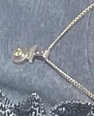 Lost Necklace in Rehoboth Beach