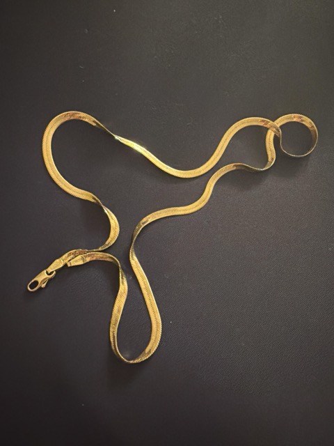 Lost Necklace in Arlington