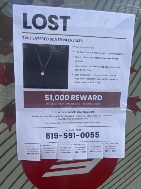 Lost Necklace in Cambridge