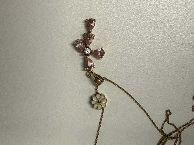 Found necklace
