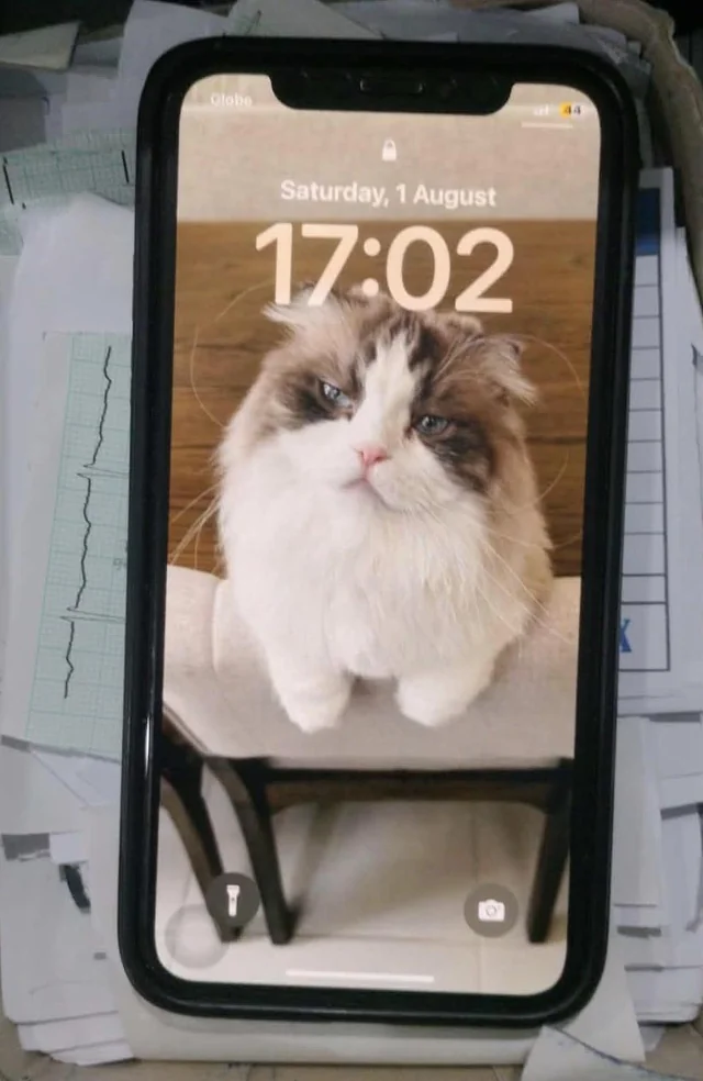 Lost phone