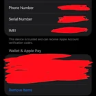 Lost Phone in United States