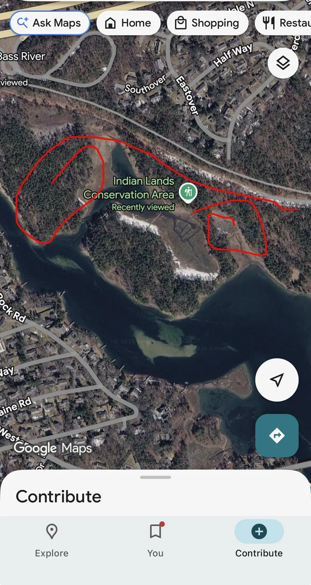 Lost Ring in Dennis