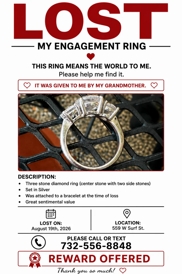 Lost Ring in Chicago