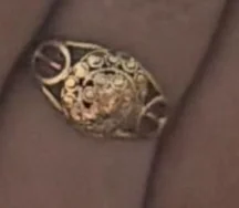 Lost Ring in The Hague