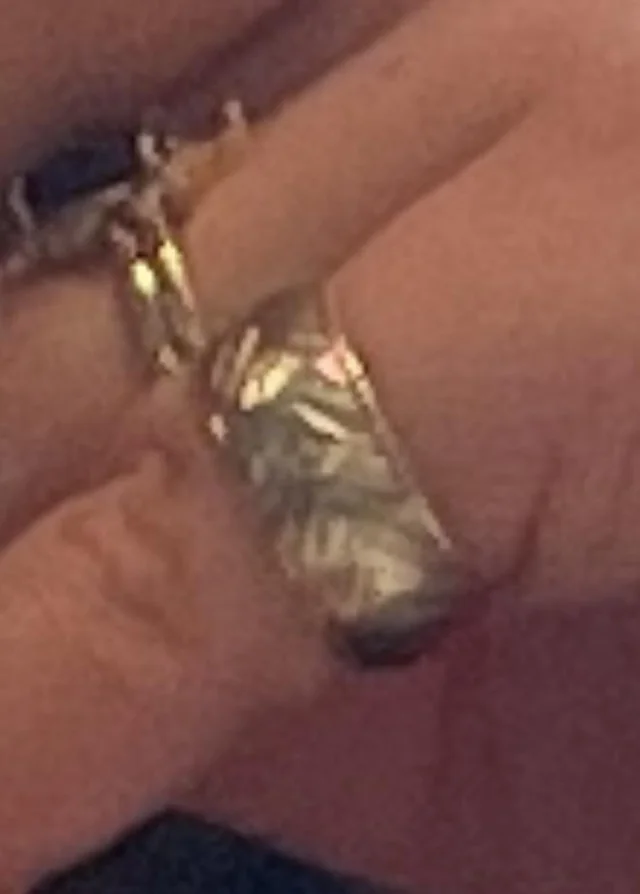 Lost Ring in Kenosha