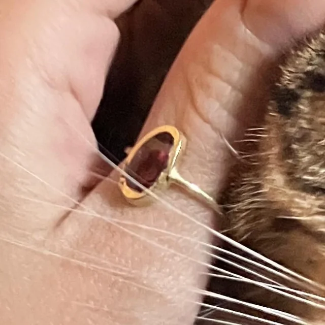 Lost Ring in Philadelphia