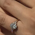 Lost Ring in San Diego