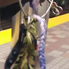 Lost Keys in Boston