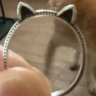 Lost Ring in San Antonio