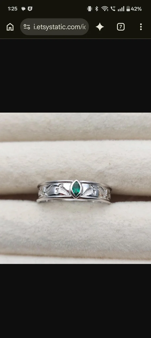 Lost Ring in Salt Lake City