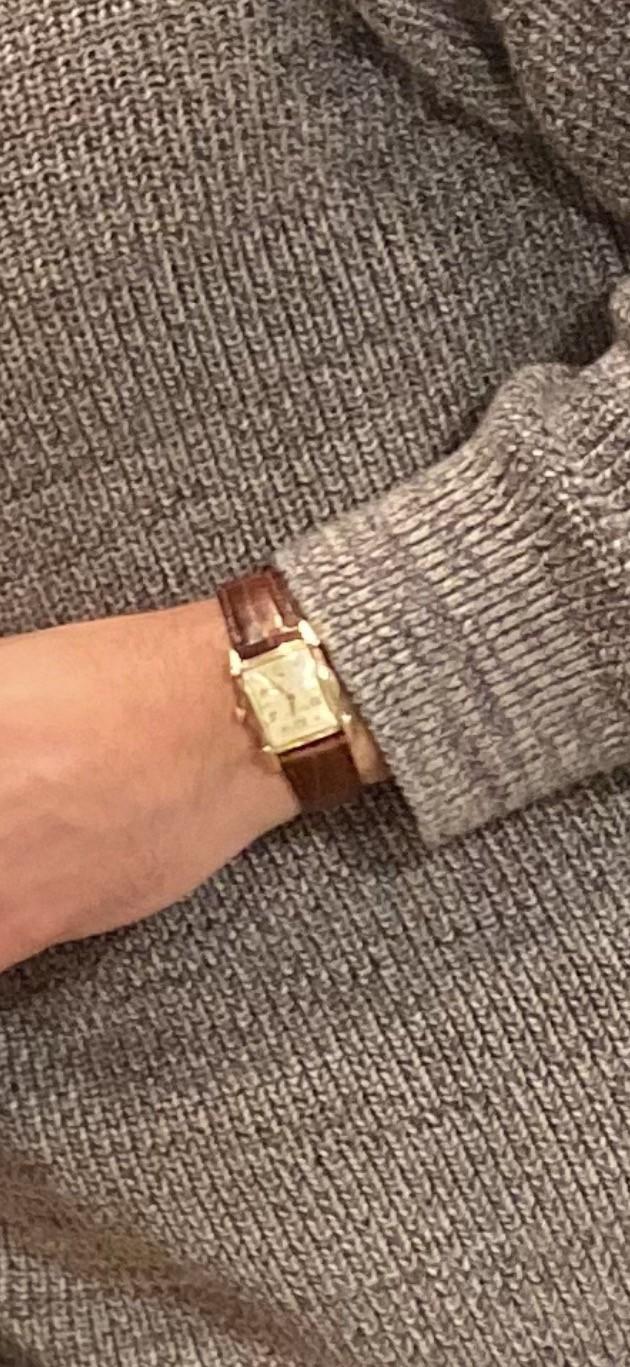 Lost Watch in Houston