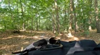 Lost sunglasses