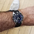 Lost Watch in West Island