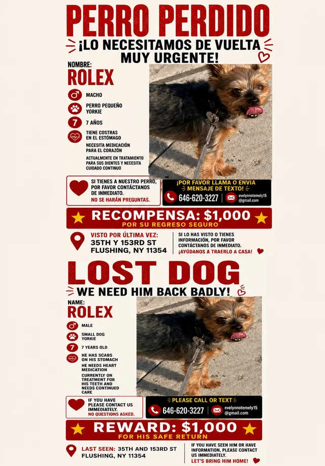 Lost Dog in Flushing