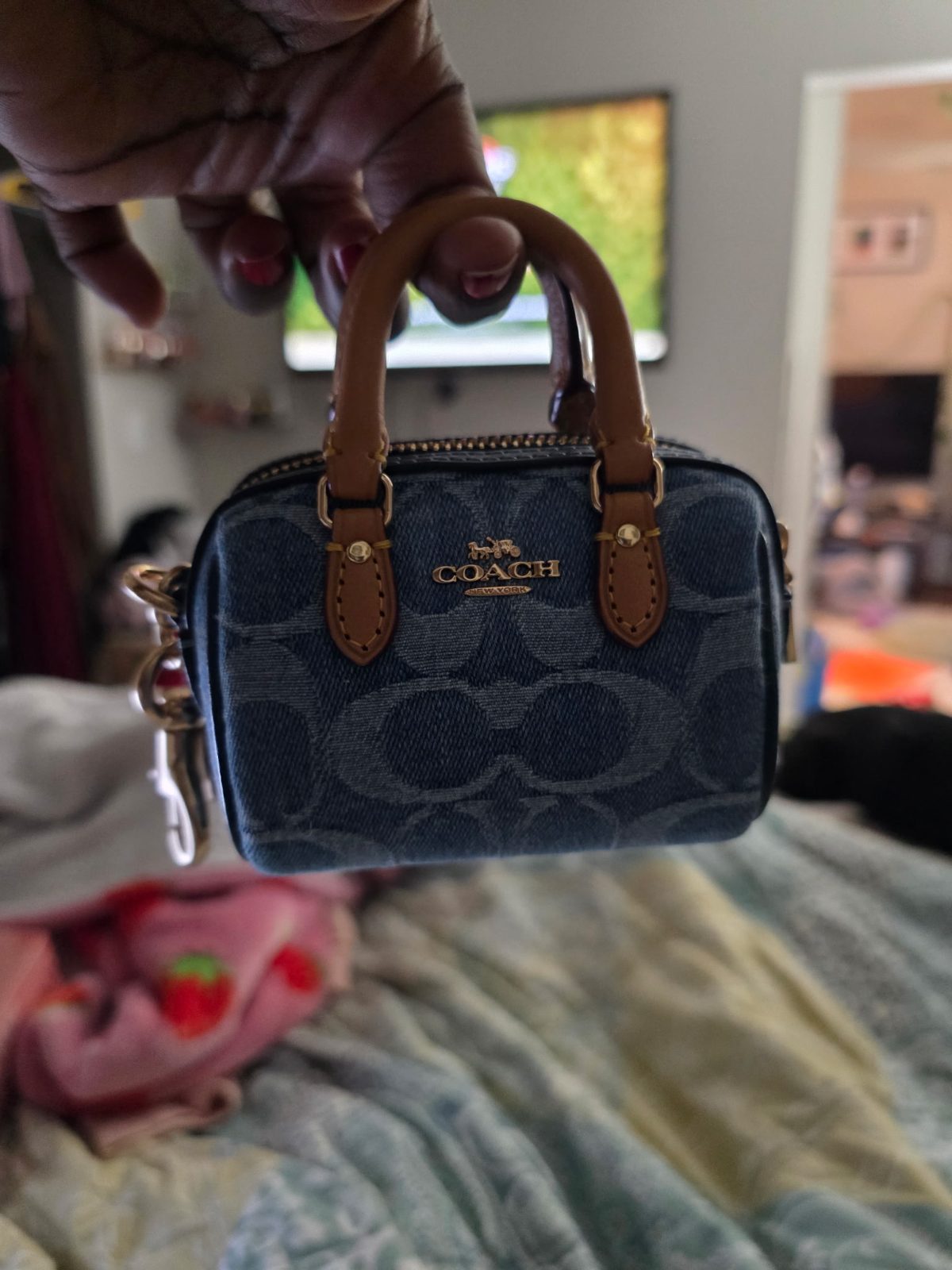 Lost Backpack in Seattle
