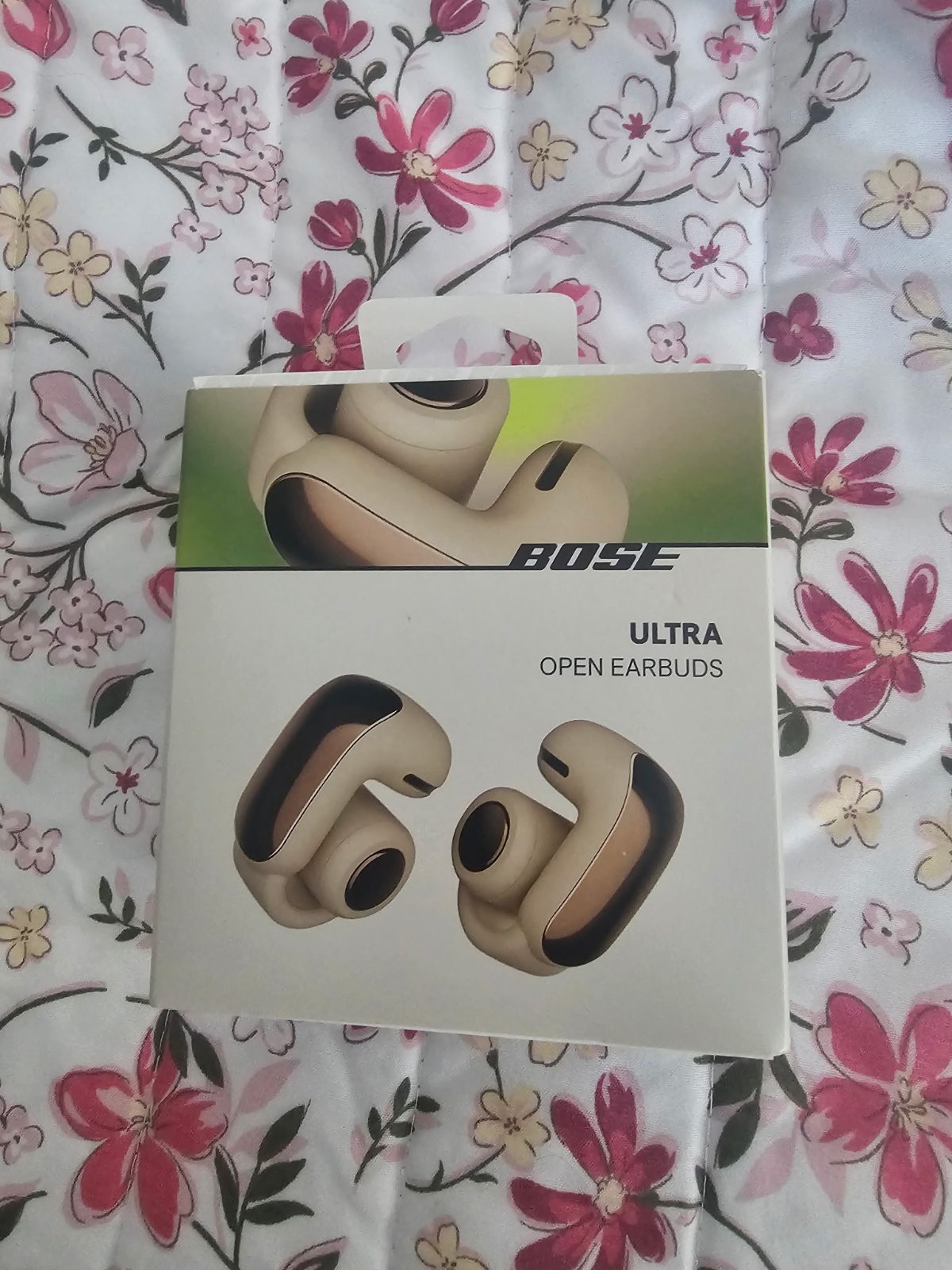 Lost Earbuds in Seattle