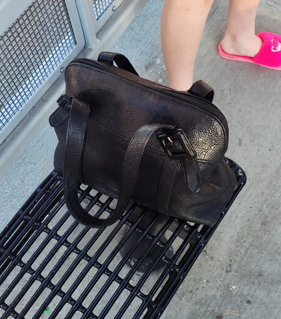 Lost Purse